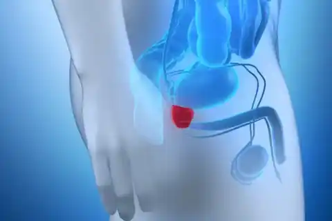 Bowel Not Empty Feeling: Causes & How to Get Relief