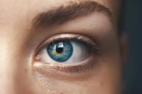 Ophthalmology