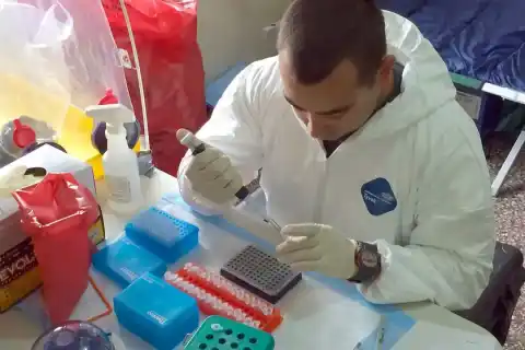 Stem Cell Therapy for Joints