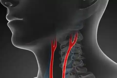 مركز طب الأسنان