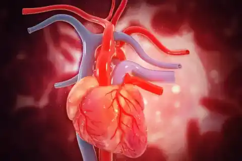 Dr. Emre Özenalp Clinic