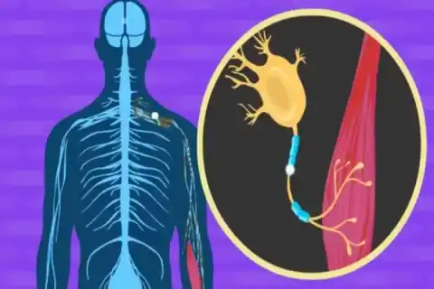Gezielte Krebstherapie