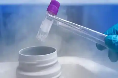 Mole Removal