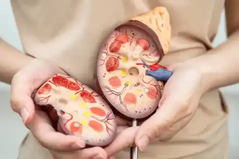 Endoscopic Disc Surgery