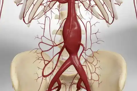 Chronic Pain Management
