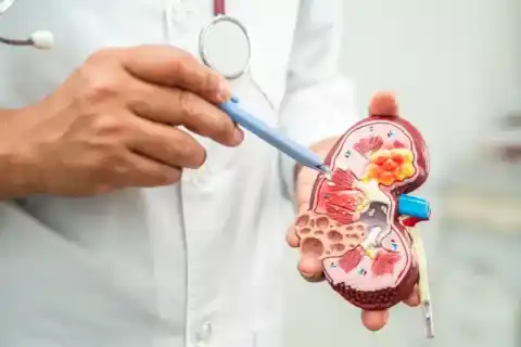 Cardiac (Heart) Tumours